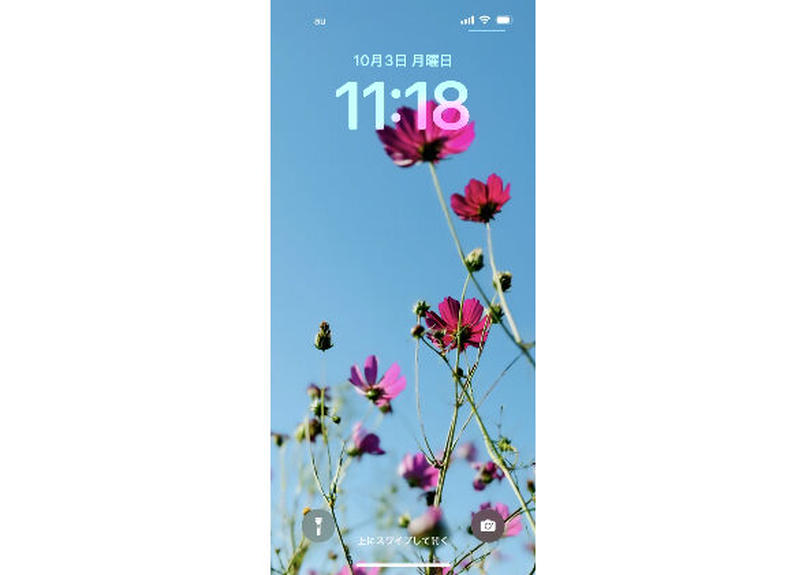 スマホ壁紙 花遊びpictures コスモスとブルースカイ はじまりはじまり堂 スマホ壁紙 花遊びpictures コスモスとブルースカイ はじまりはじまり堂