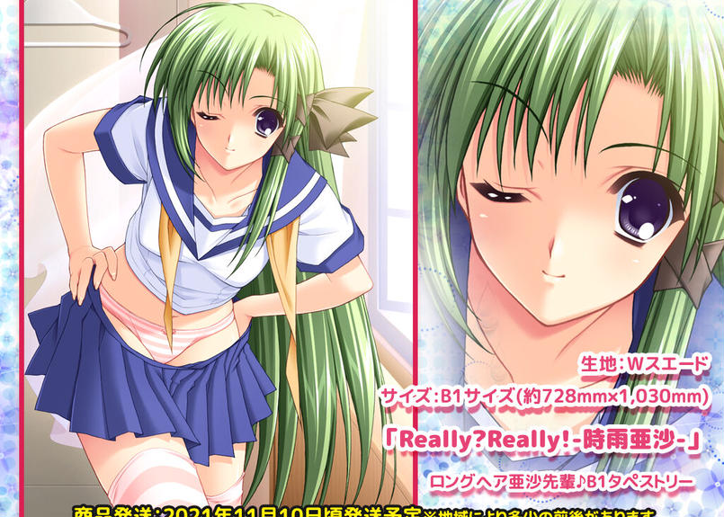 Really Really 時雨亜沙 ロングヘア亜沙先輩 B1タペストリー Nave