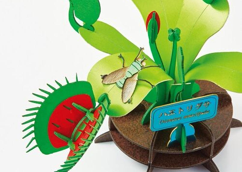 3dパズル 食虫植物 ハエトリグサ Urano 咲くやコラボ 咲くやこの花館オンラインショップ