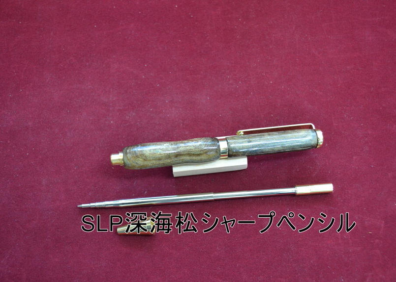 海松 レインボーコーラル 深海松