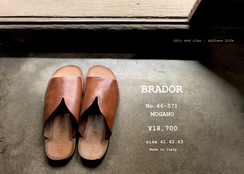 WEB限定カラーWEB限定カラーブラドール BRADOR 46-140 TCAPO （MOGANO