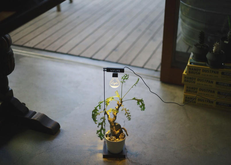 もう日照不足には悩まない 植物専用育成ライト Mana S Green 塊根植物販売 マナ