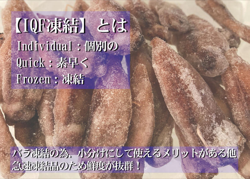 目取りホタルイカ 生食用 10kg業務用 まるひな