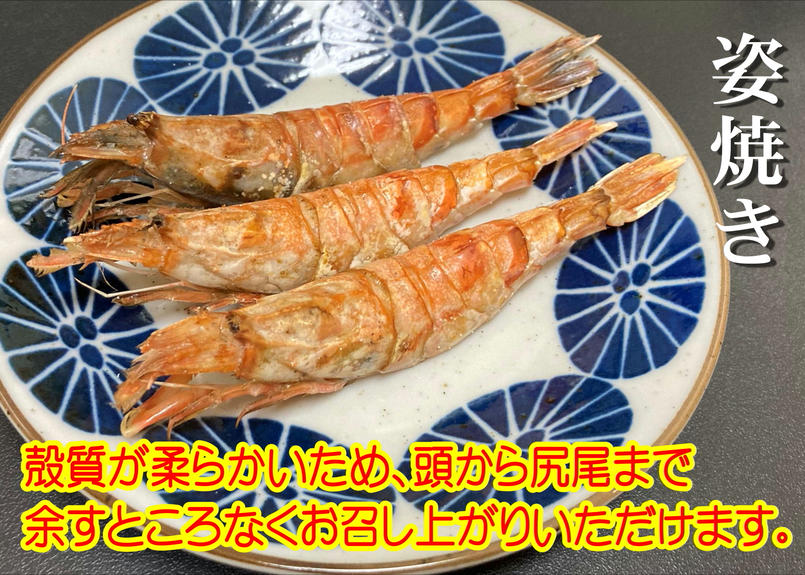 幻のモサエビ 生食用 別名 がす海老 600g前後 約30尾 定価 8400 特別価格数