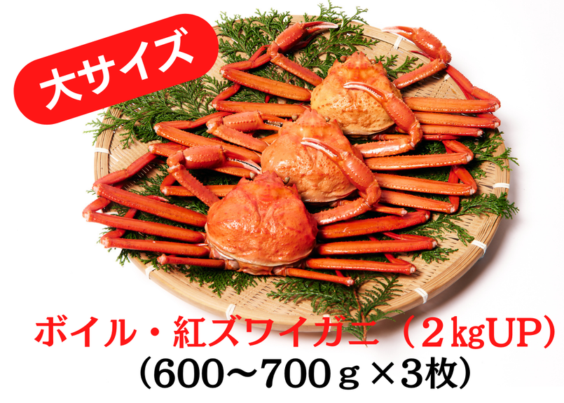 3枚で1000円お得 大サイズ 茹で紅ズワイガニ 600 700g 3枚セット 入荷 3枚で1000円お得 大サイズ 茹で紅ズワイガニ 600 700g 3枚セット 入荷