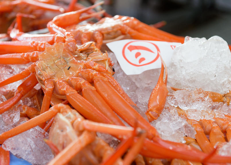 茹で紅ズワイガニ 約400g 3枚セット 着日指定不可 境港 かに専門店 マルツ オ