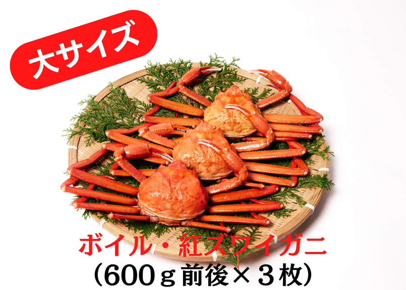 茹で紅ズワイガニ 600ｇ前後 3枚セット 年内最終発送 松葉ガニ 紅ズワイガニ 鳥
