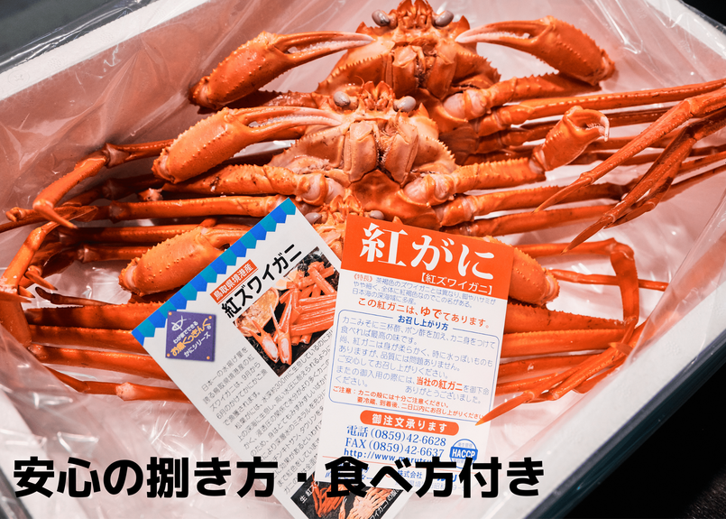 食べ応え十分 大サイズ 茹で紅ズワイガニ 600ｇ前後 年内最終発送 松葉ガ