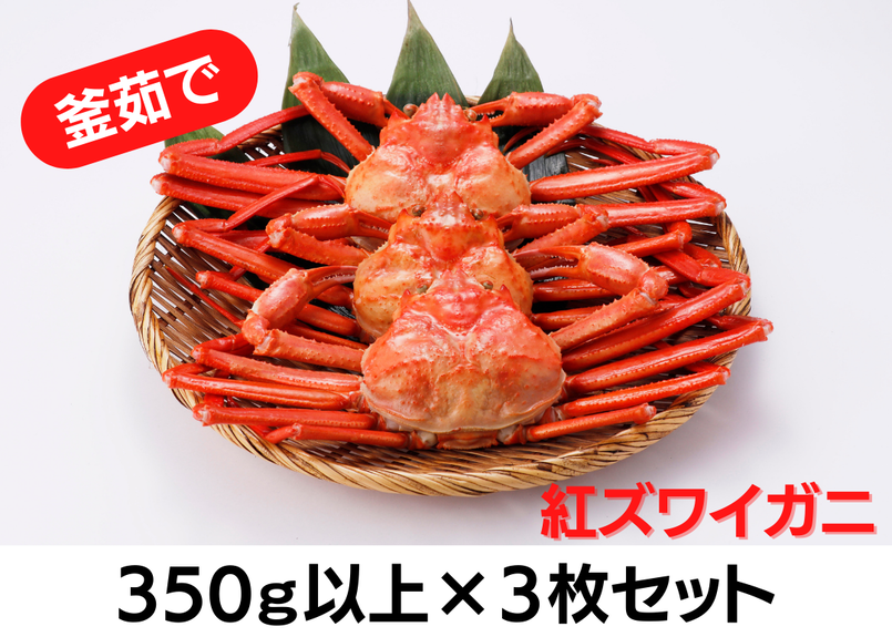 ギフト 贈答にもおすすめ 茹で紅ズワイガニ 350g以上 3枚セット 入荷次第の発送