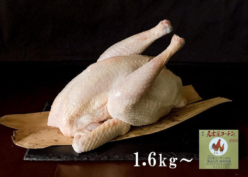 名古屋コーチン 丸鶏 中抜き 大 約1 6kg 冷凍 内蔵を取り除いた状態でのお届けで解凍