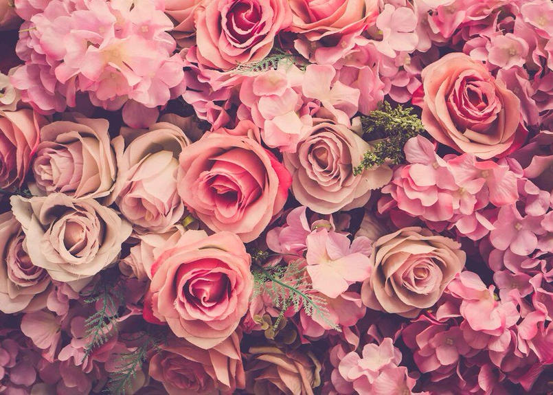 レッド ピオニー サイズ特大 壁紙 アート モダン 綺麗 おしゃれ インテリア 新品 Mode