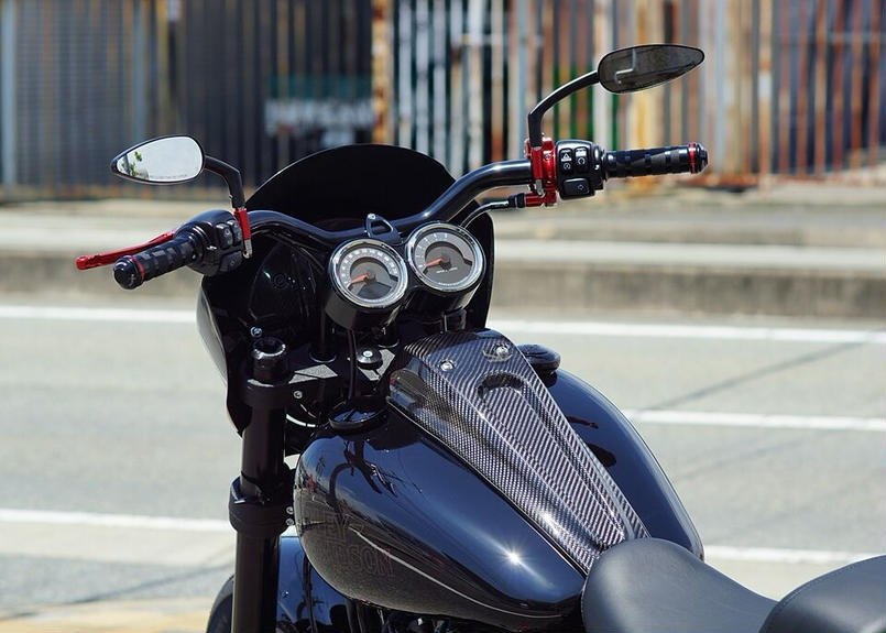 FXLRS ローライダーS DDPフェアリング BUNGKINGライザー