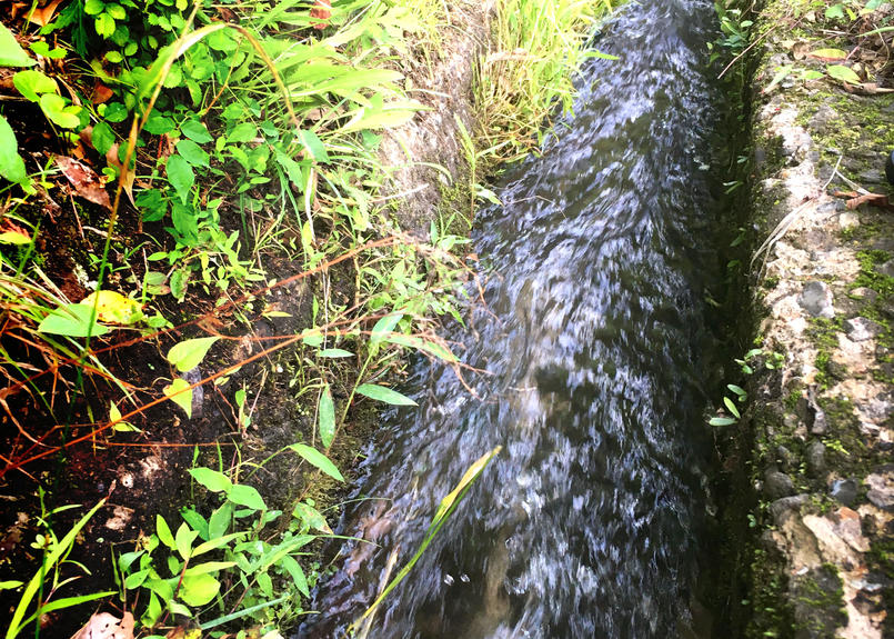 Se1s N Rw 001 綺麗な音の水の流れ 紀見峠 水路 ステレオ効果音 Nrec