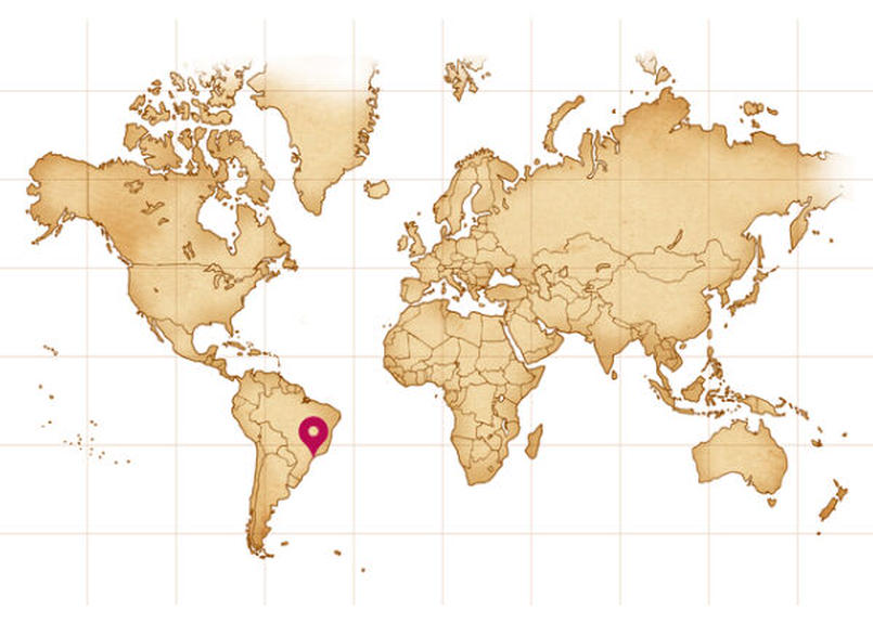 ブラジル サントスショコラ 0g Canele Labo Coffee Shop