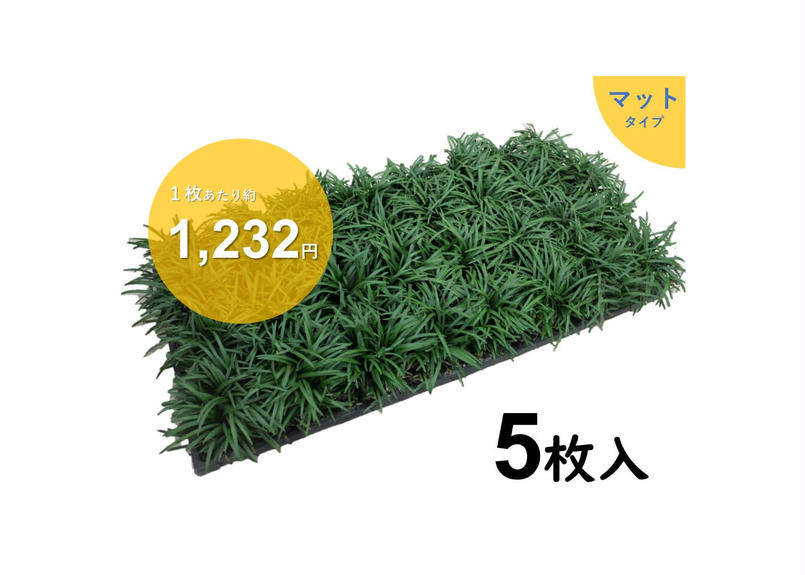 タマリュウマット5枚 石井の玉竜 グランドカバー 一部地域 送料無料 タマリュウマット5枚 石井の玉竜 グランドカバー 一部地域 送料無料