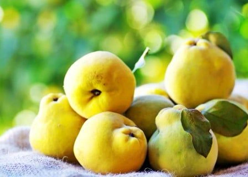 Dalemain The Bishop S Marmalade Mwl Store