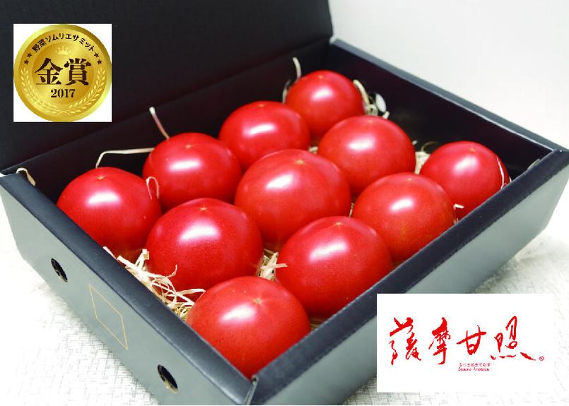南国フルーツトマト 薩摩甘照プレミアム てらす オンラインショップ