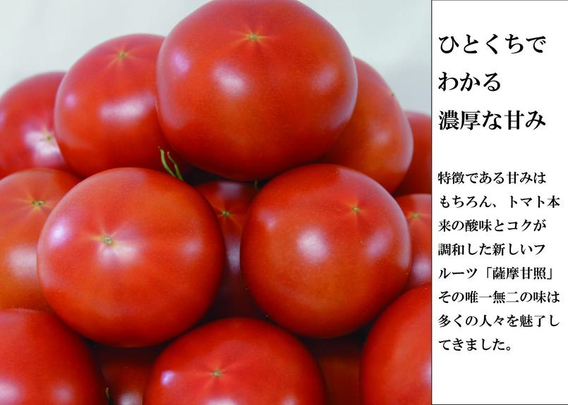 南国フルーツトマト薩摩甘照 お徳用 てらす オンラインショップ