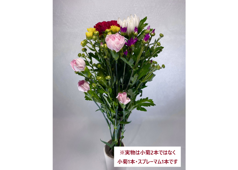スリーブ無し 7月お盆用 5本組仏花束 カーネーションセット Flower Member スリーブ無し 7月お盆用 5本組仏花束 カーネーションセット Flower Member