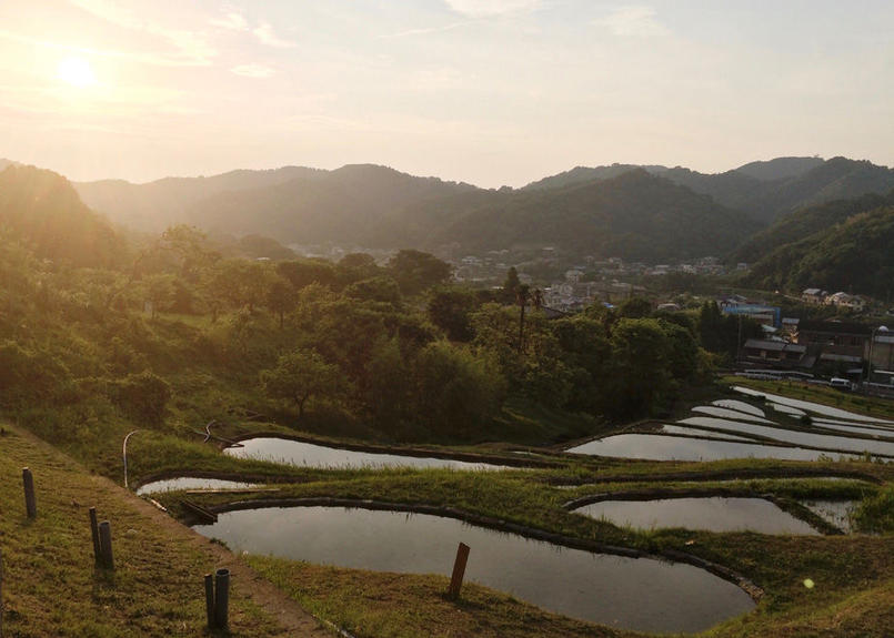 Beat Ice 棚田米使用 葉山アイス 12個セット 2種 各6個 商品コード Tf390