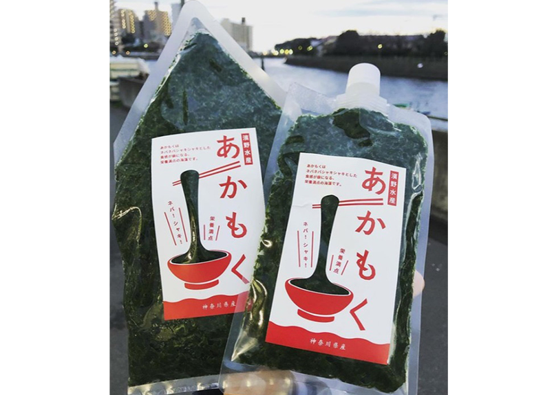 浜野水産 湘南産アカモク 選べる個数セット 10個まで同一送料 商品コード Tf210