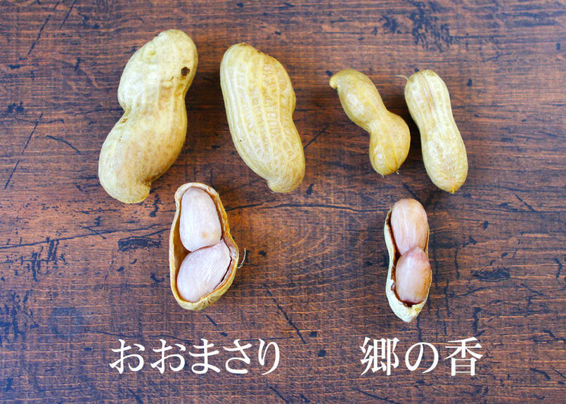 小林の落花生 冷凍ゆで落花生 千葉県産おおまさり 郷の香 10個まで送料同一 商品