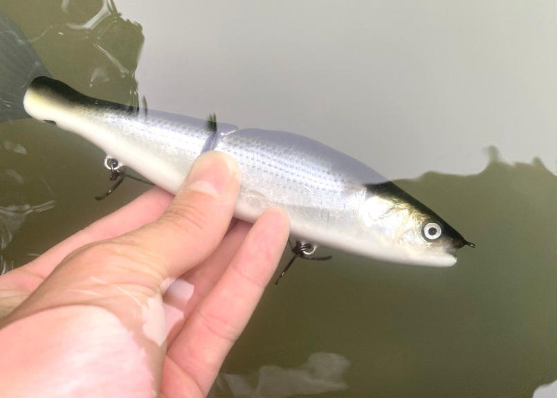 釣日和 Fblコラボモデル 魚皮ジョインテッドクロー178 コノシロ 釣日和
