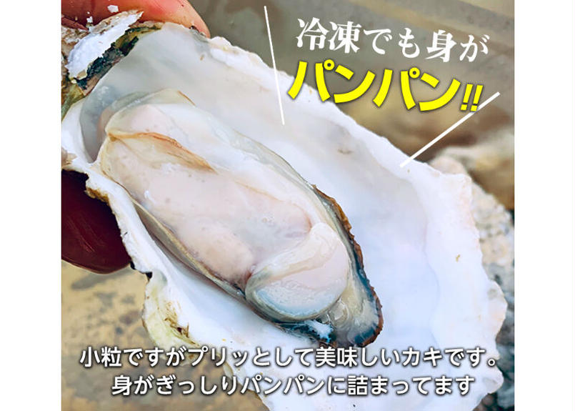 カキのカンカン焼きセット 殻付きカキ16個 Madoka カキのカンカン焼きセット 殻付きカキ16個 Madoka